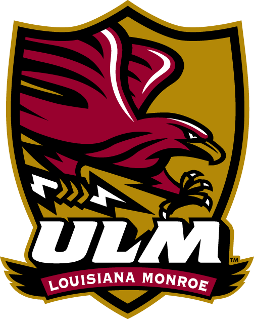 Louisiana-Monroe Warhawks 2006-Pres Alternate Logo v3 iron on transfers for fabric